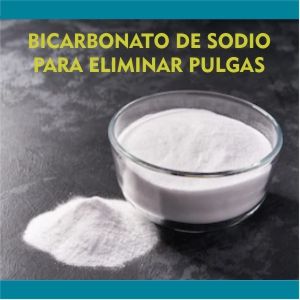 Bicarbonato de sodio para eliminar pulgas